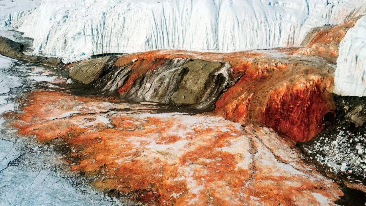 ‘Bleeding waterfalls of Antarctica’: Inside the mysterious crimson 'blood falls' that hide millions of years of frozen secrets